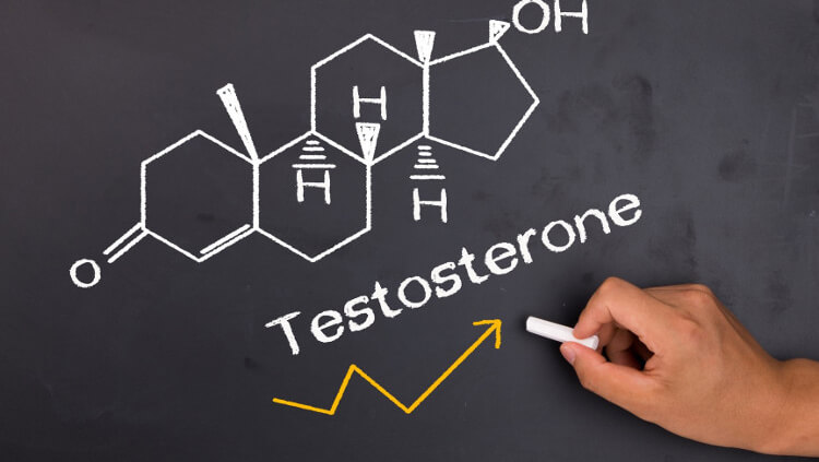 Có thể tăng Testosterone